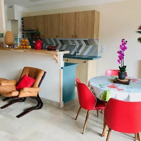 De Standing F3 à Amélie-les-bains – Terrasse, Garage, Wi-fi, Proche Thermes - Fr-1-703-25 Apartamento
